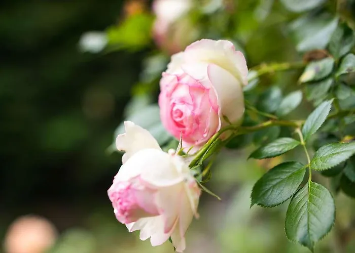 The Originals Boutique, Terminus, Gare 3* Бург-ан-Бресс